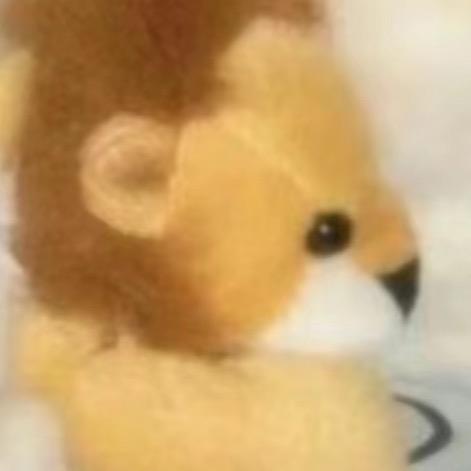 狮子兵🦁