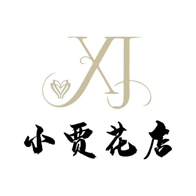 小贾花店（气球 摄像）