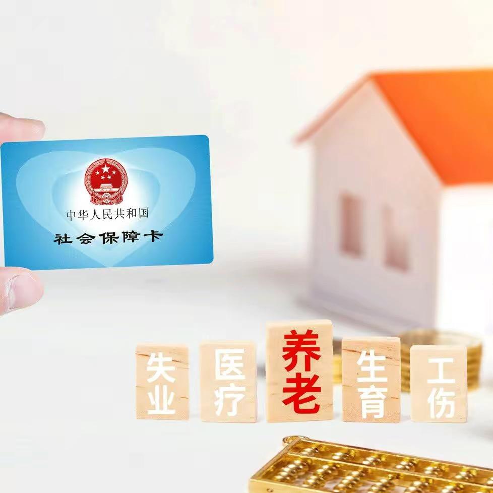 社保达人