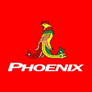 凤凰Phoenix运动健身旗舰店
