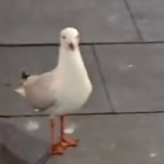 口口口