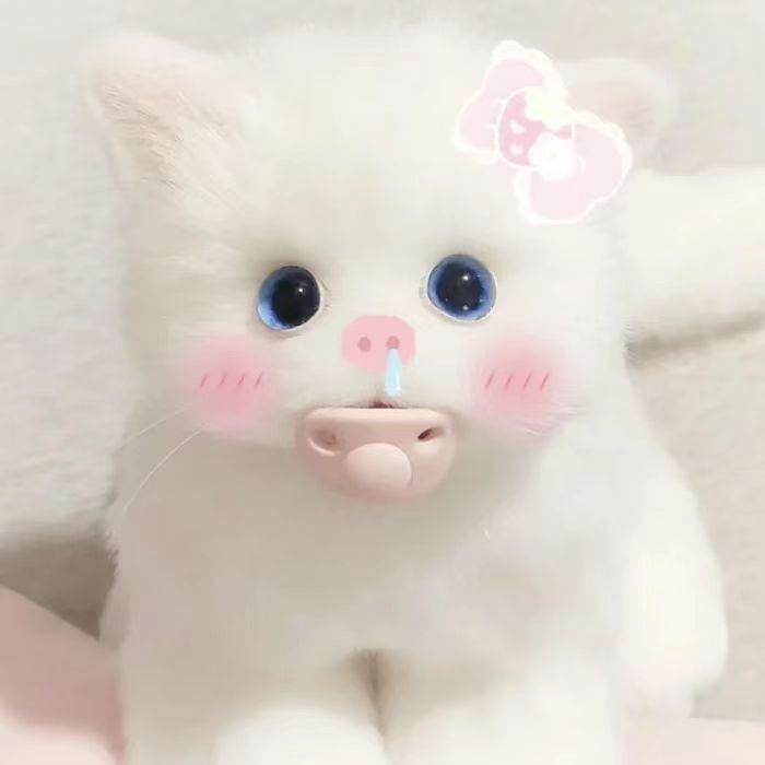 精灵