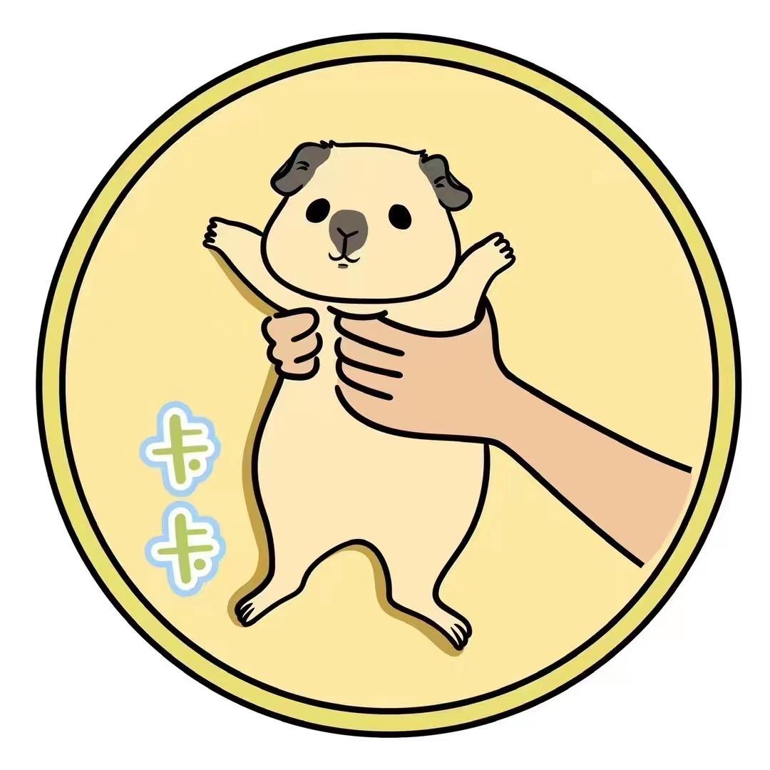 卡卡猪舍