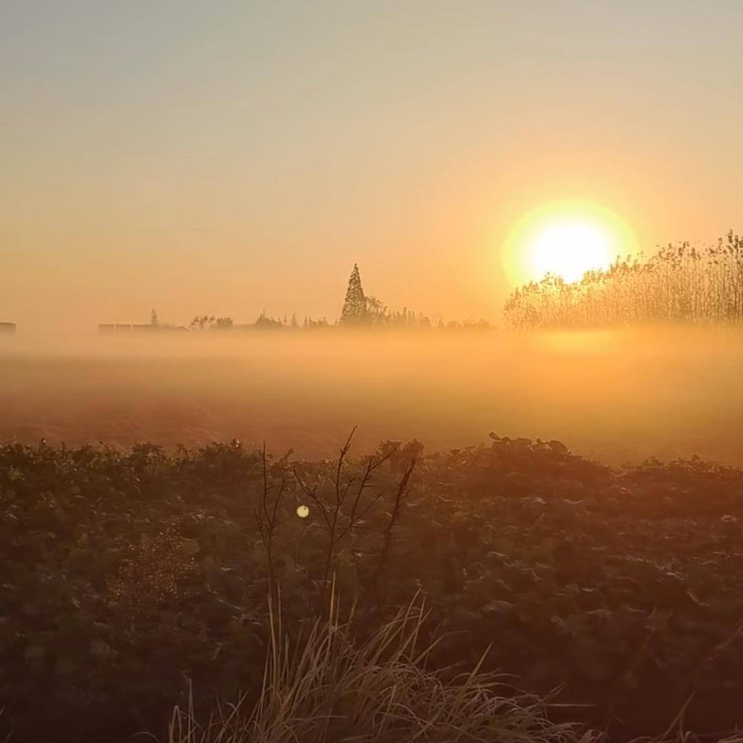 打野（石头人）