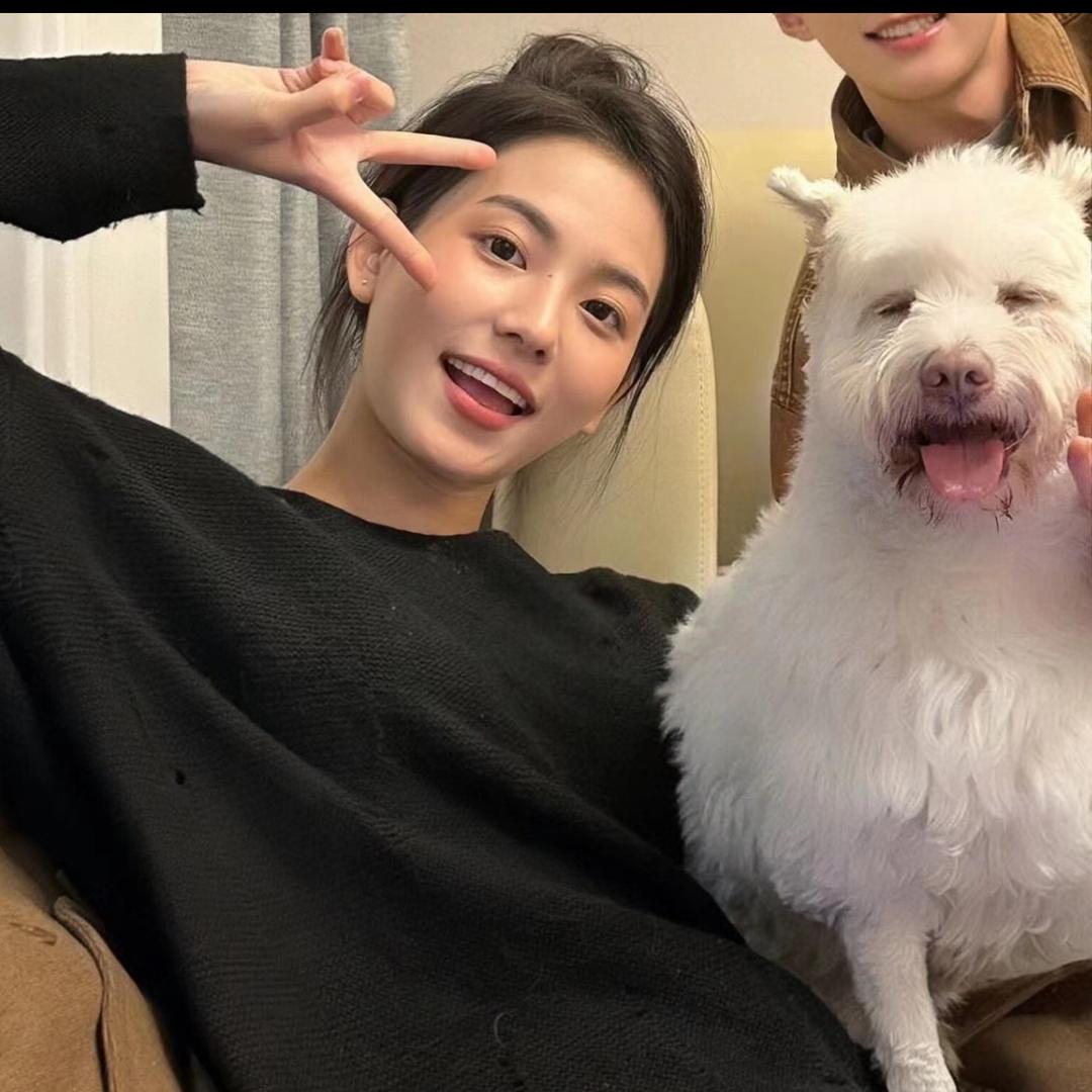猪猪🐷