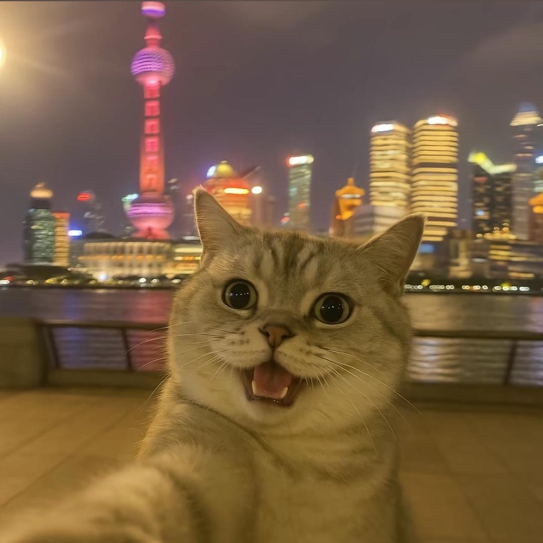 Ç