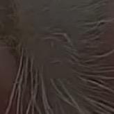 熙