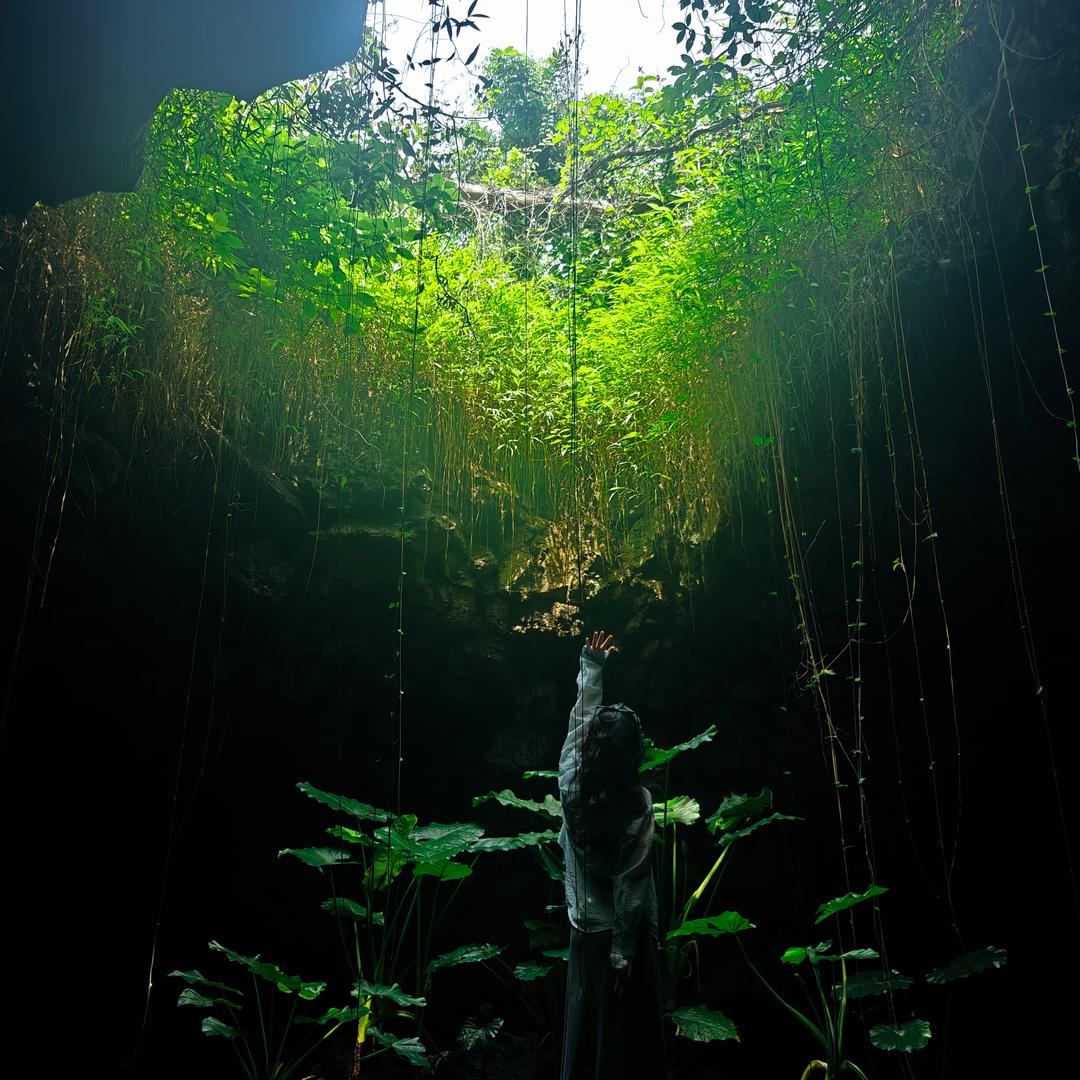 Pluiedoree