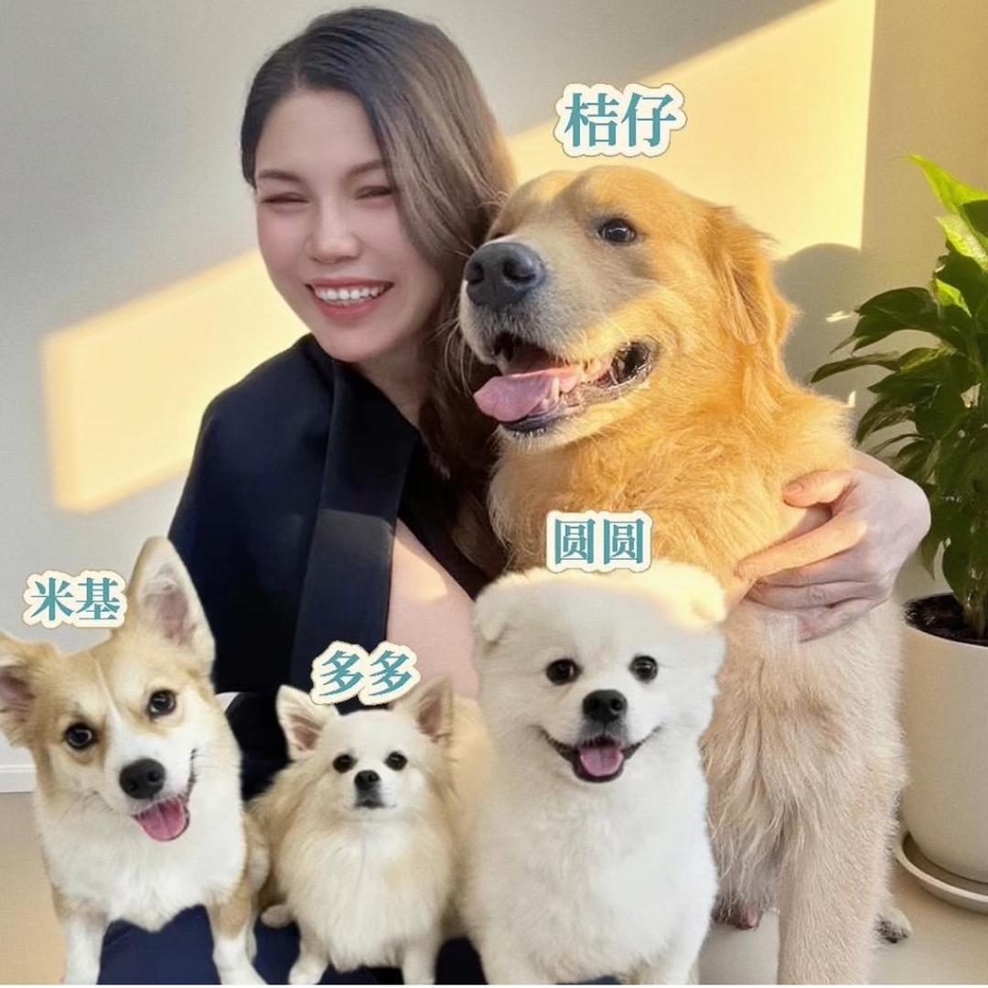 桔仔（纯各特）