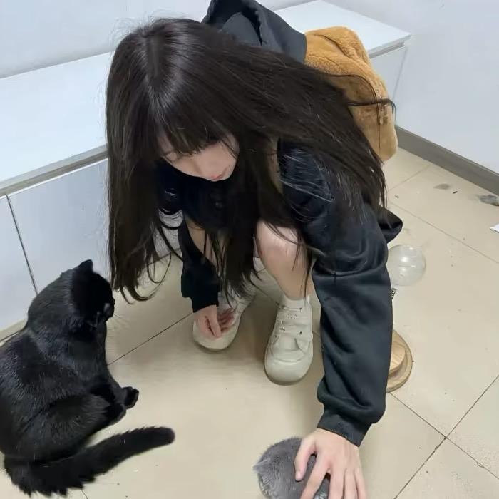 ㅤㅤ