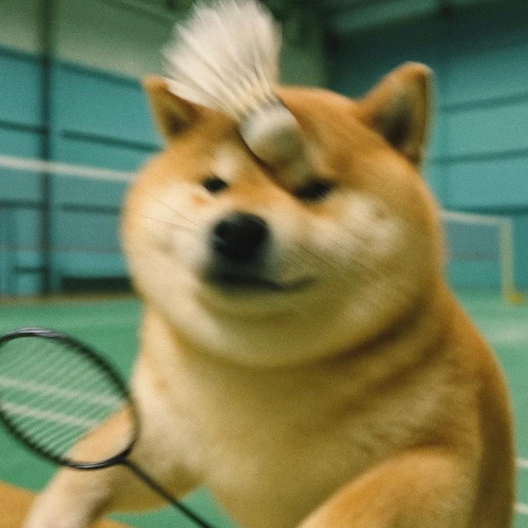 刘下捡球🏸
