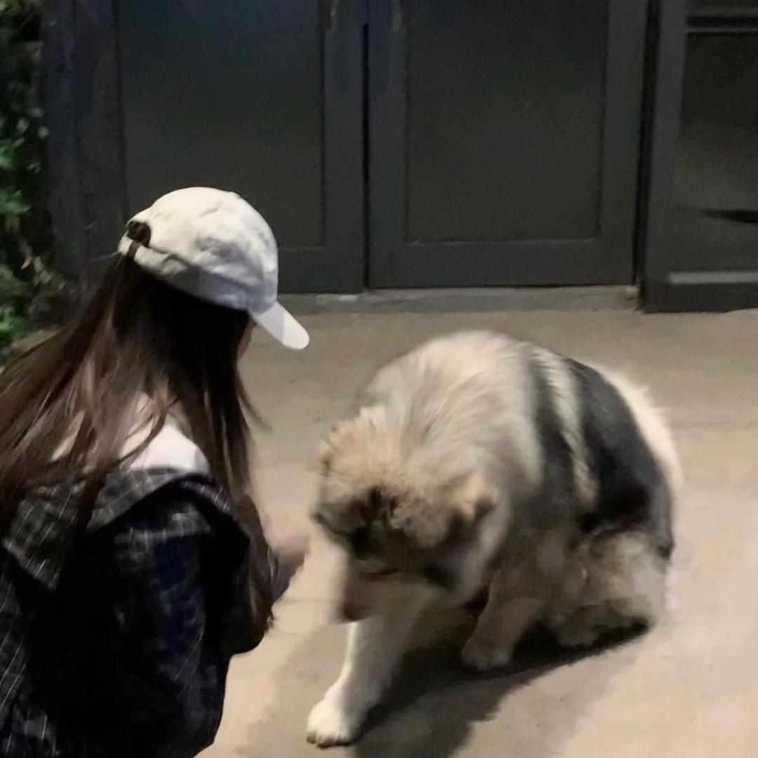 爱吃粗粮