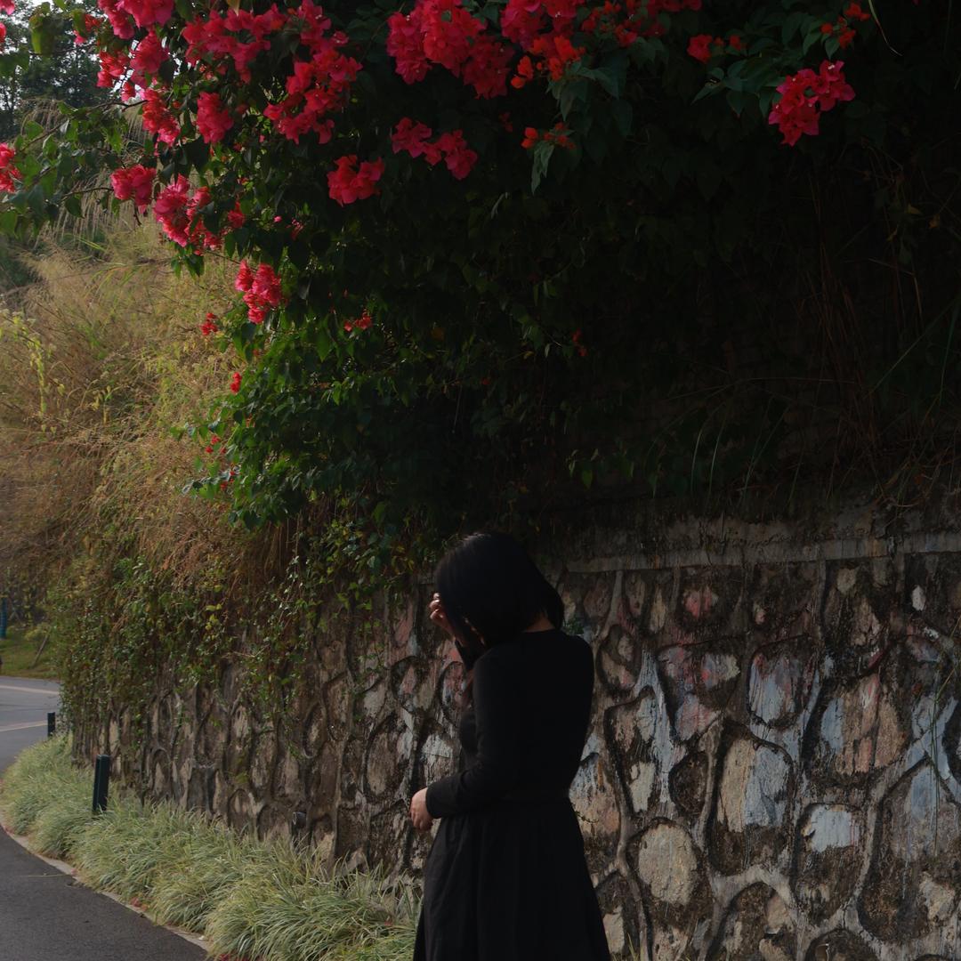 懒懒ʚʕ̯•͡˔•̯᷅ʔɞ