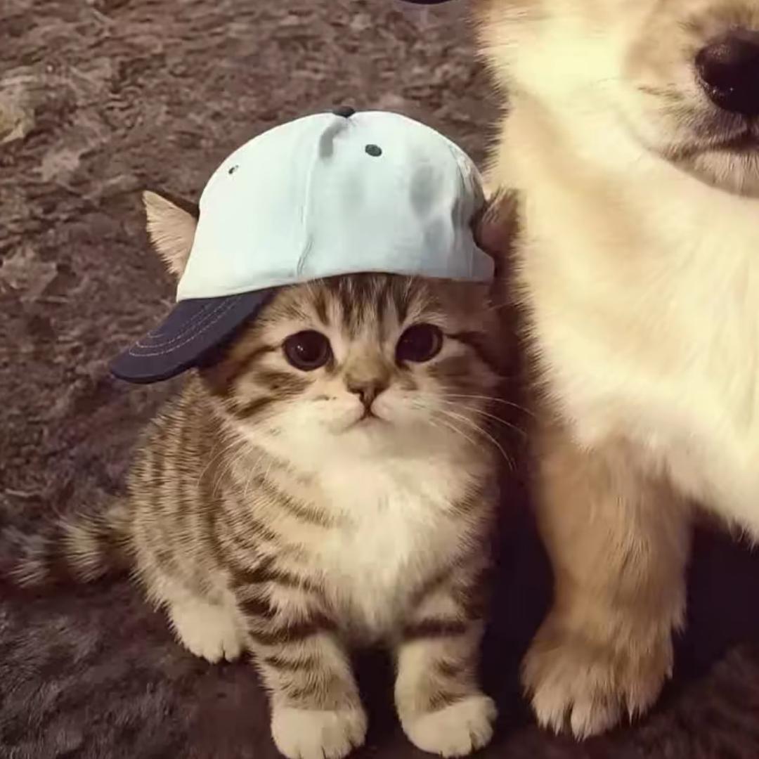 三年零一个礼拜.