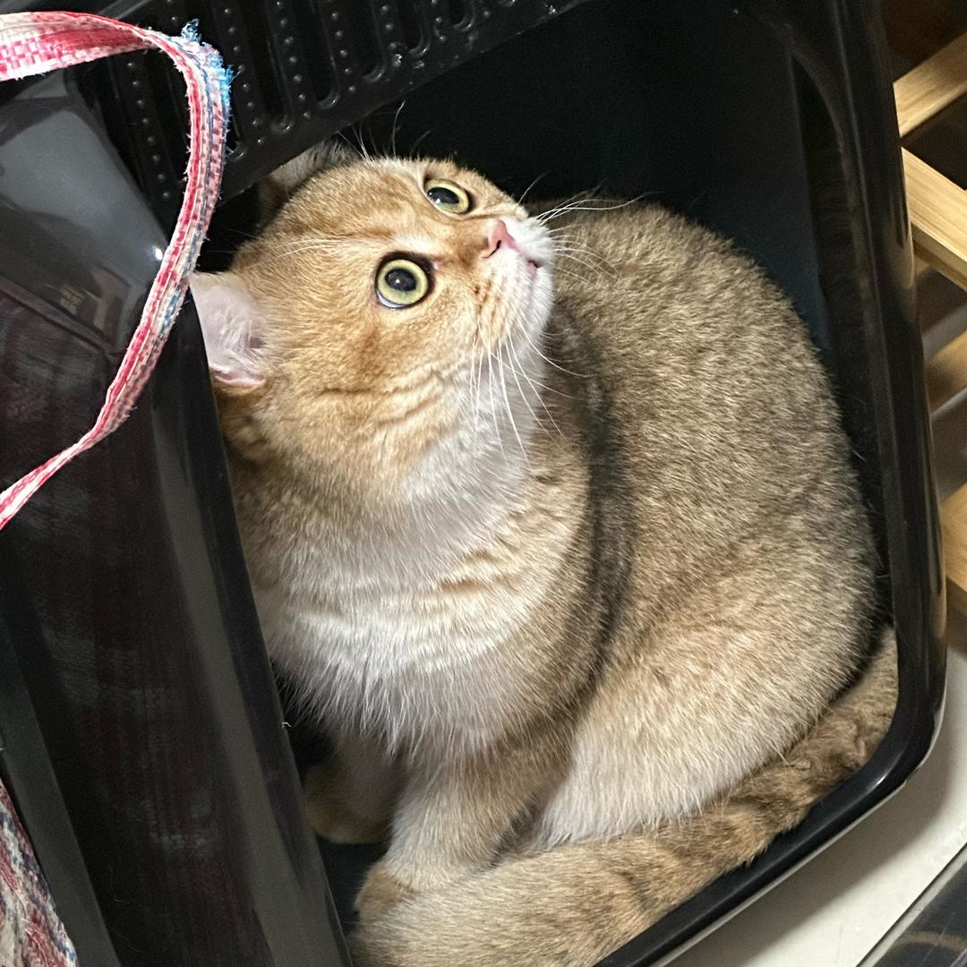 A风和日丽的一天