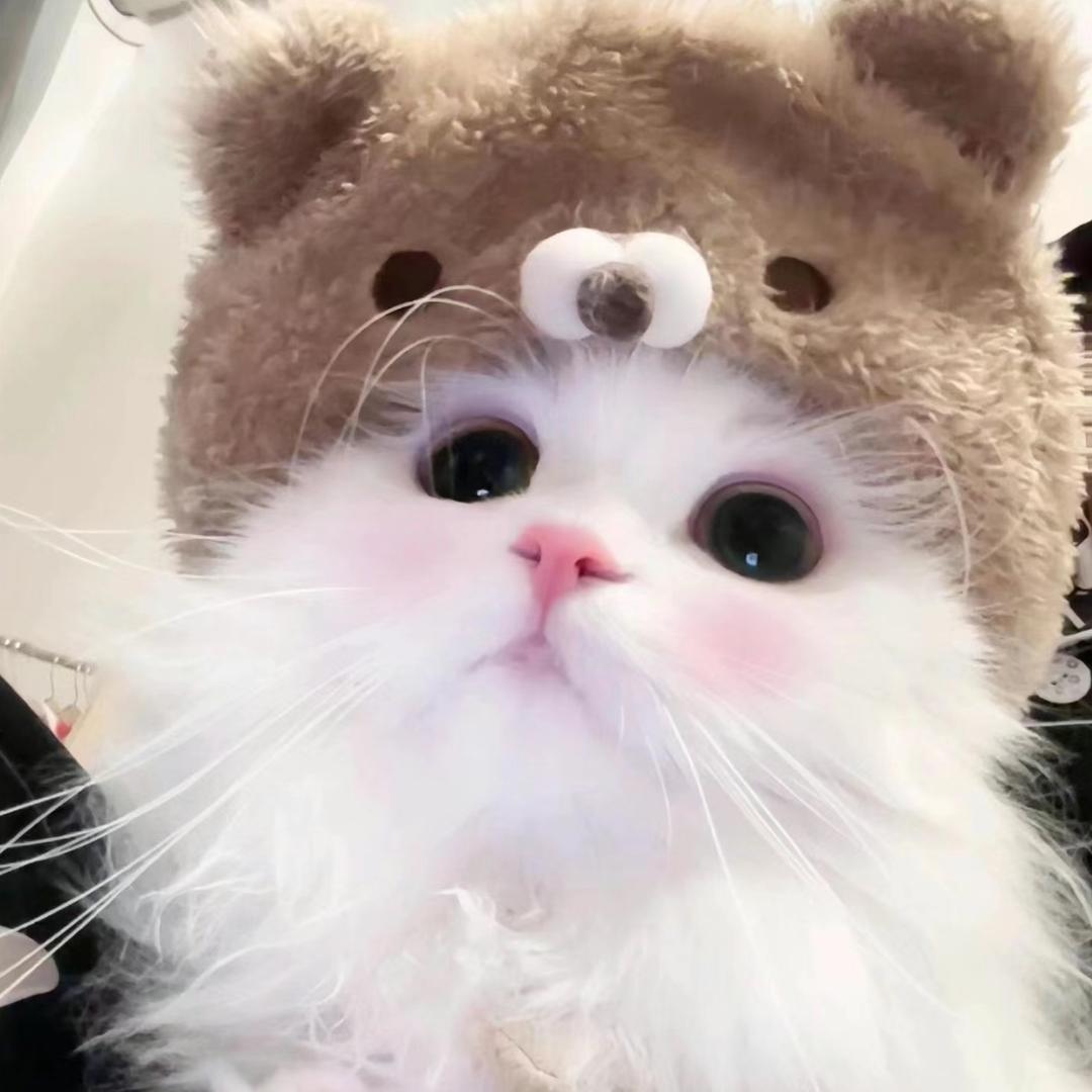 宇宙超级无敌美少女暴龙战士