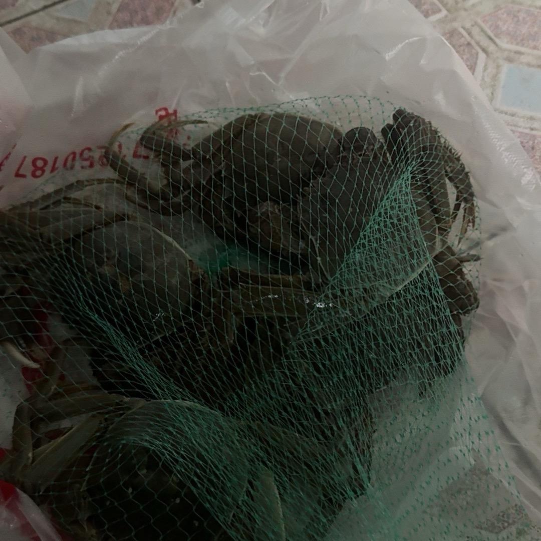 陈三