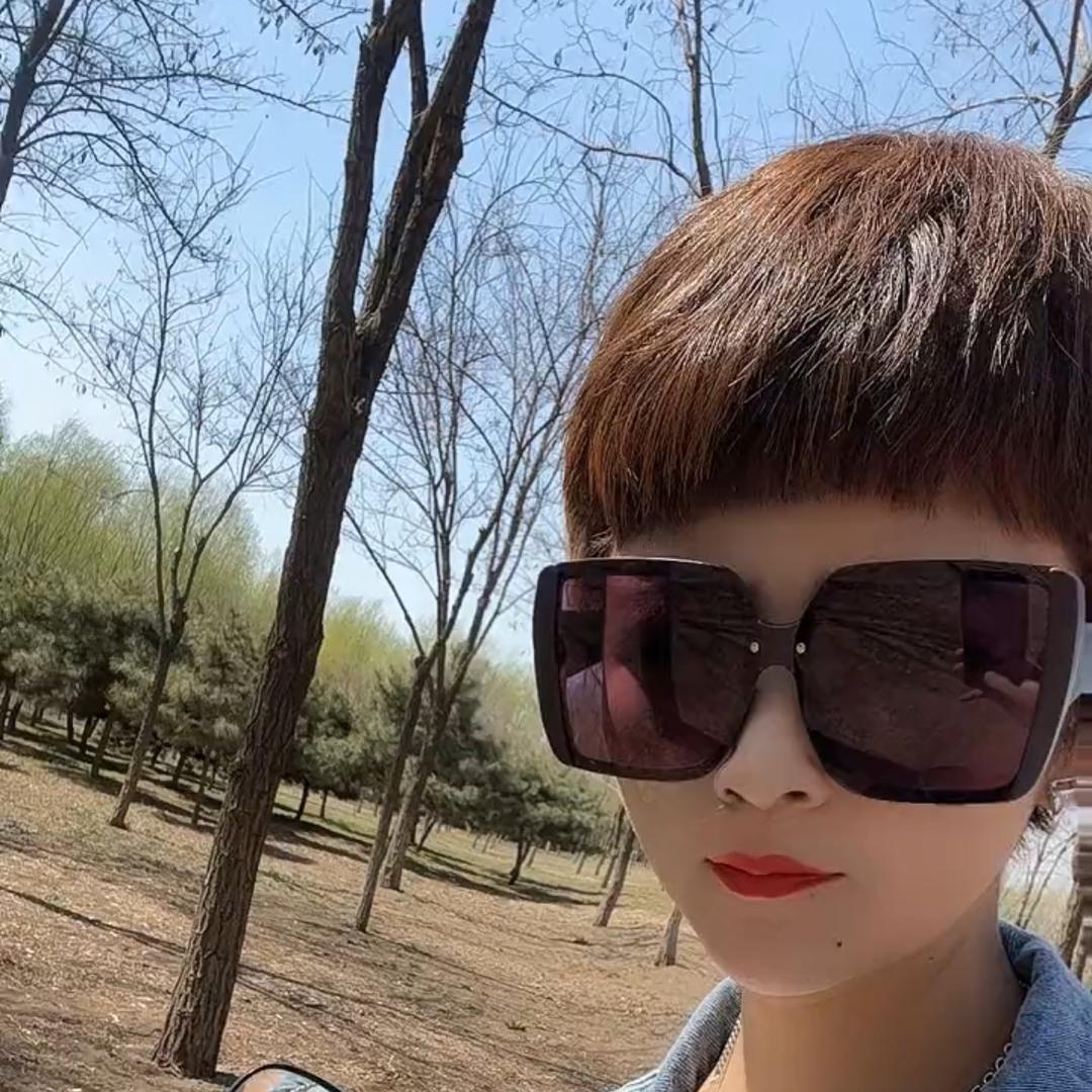 小会会