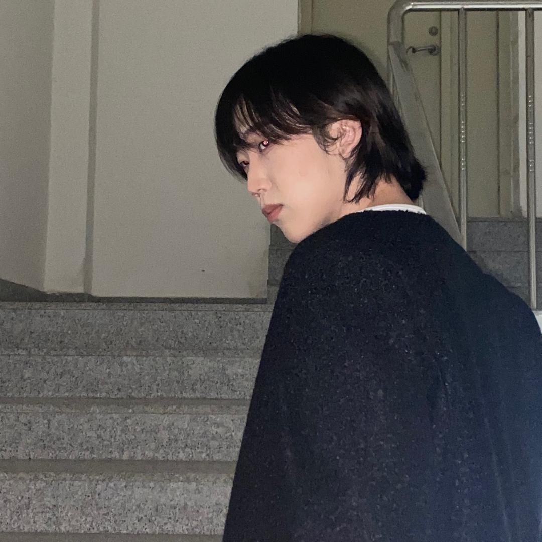 一只龙龙
