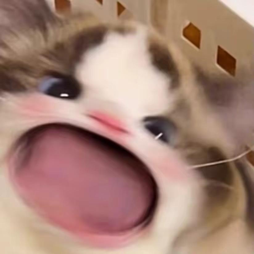 ylbb