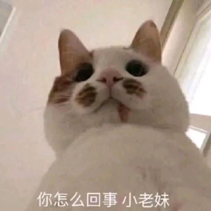 吉米K