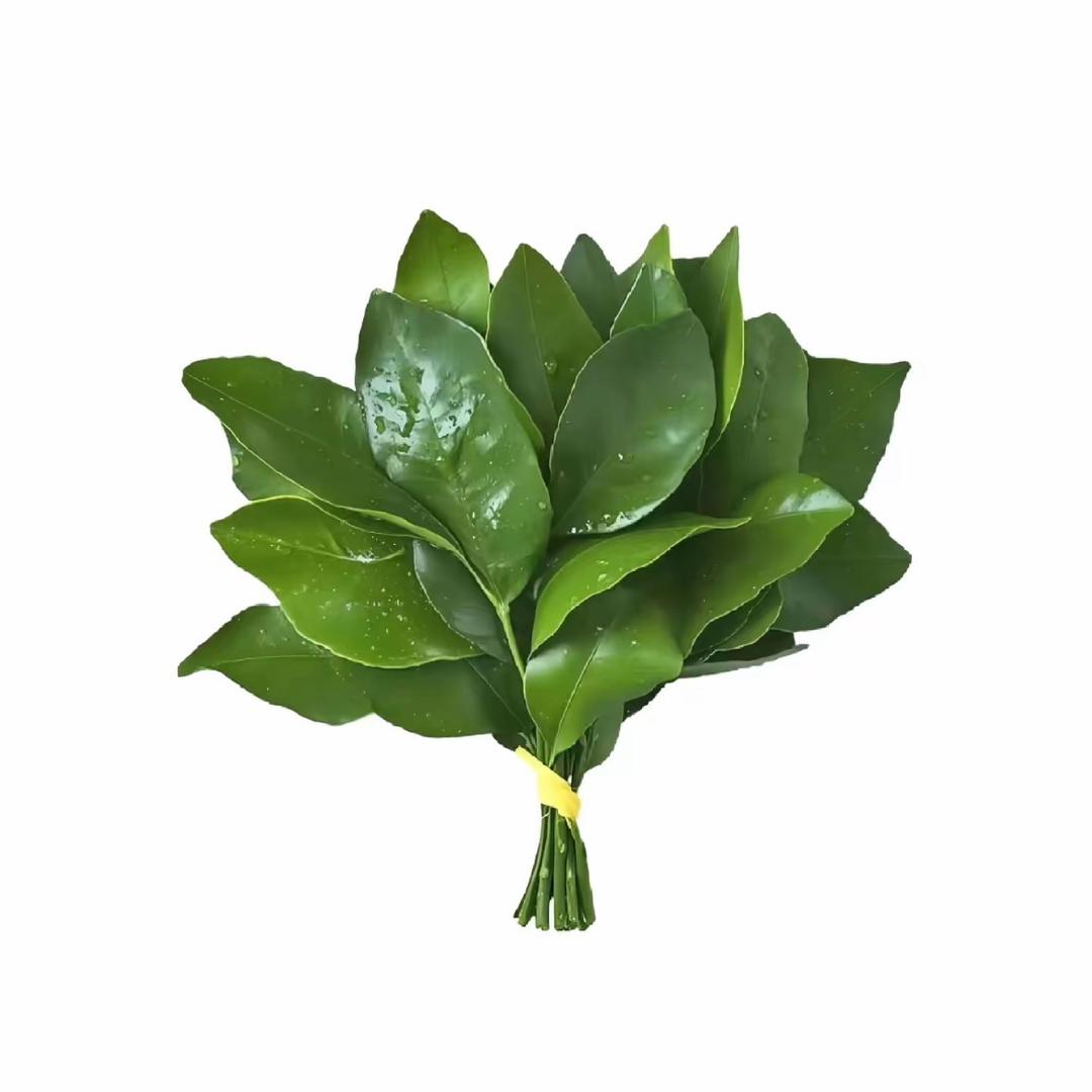 追追粉粉滴
