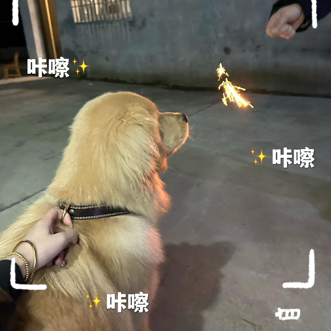 巴顿和火锅