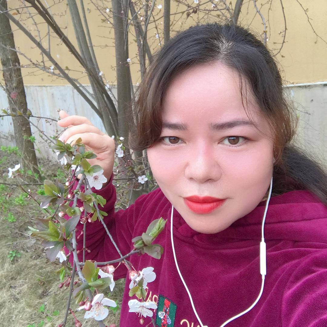 丹丹