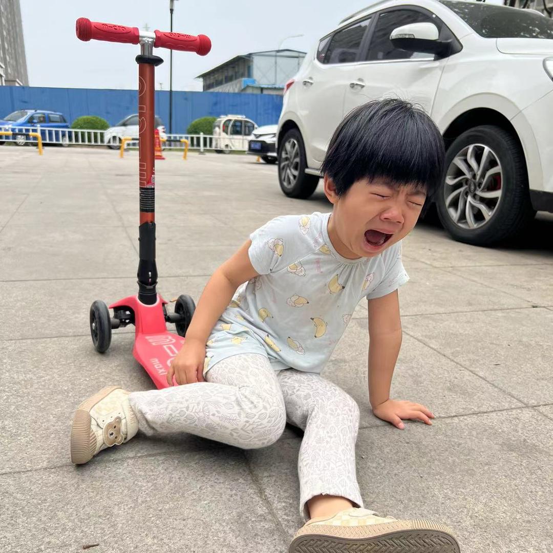 哈利波诺