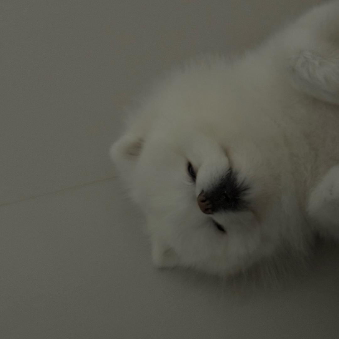 Dooorr