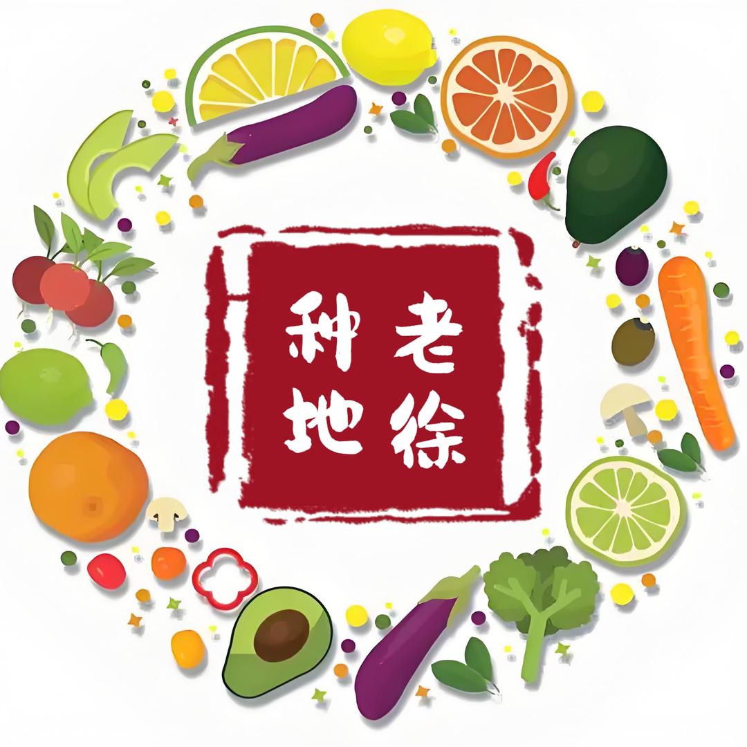 乡村生活老徐