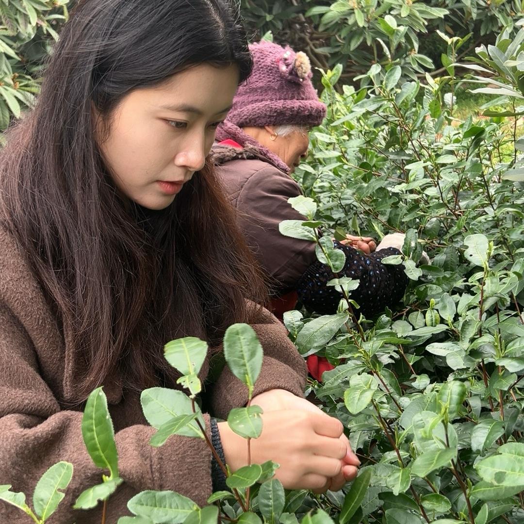 马奶奶苏州时令