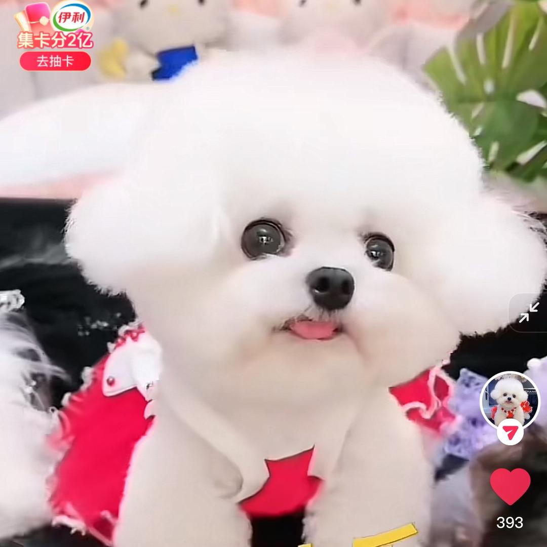 爱邦家的28