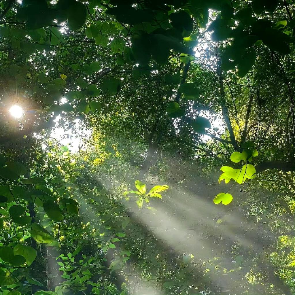 中国邮政集团有限公司宁阳县分公司甄选