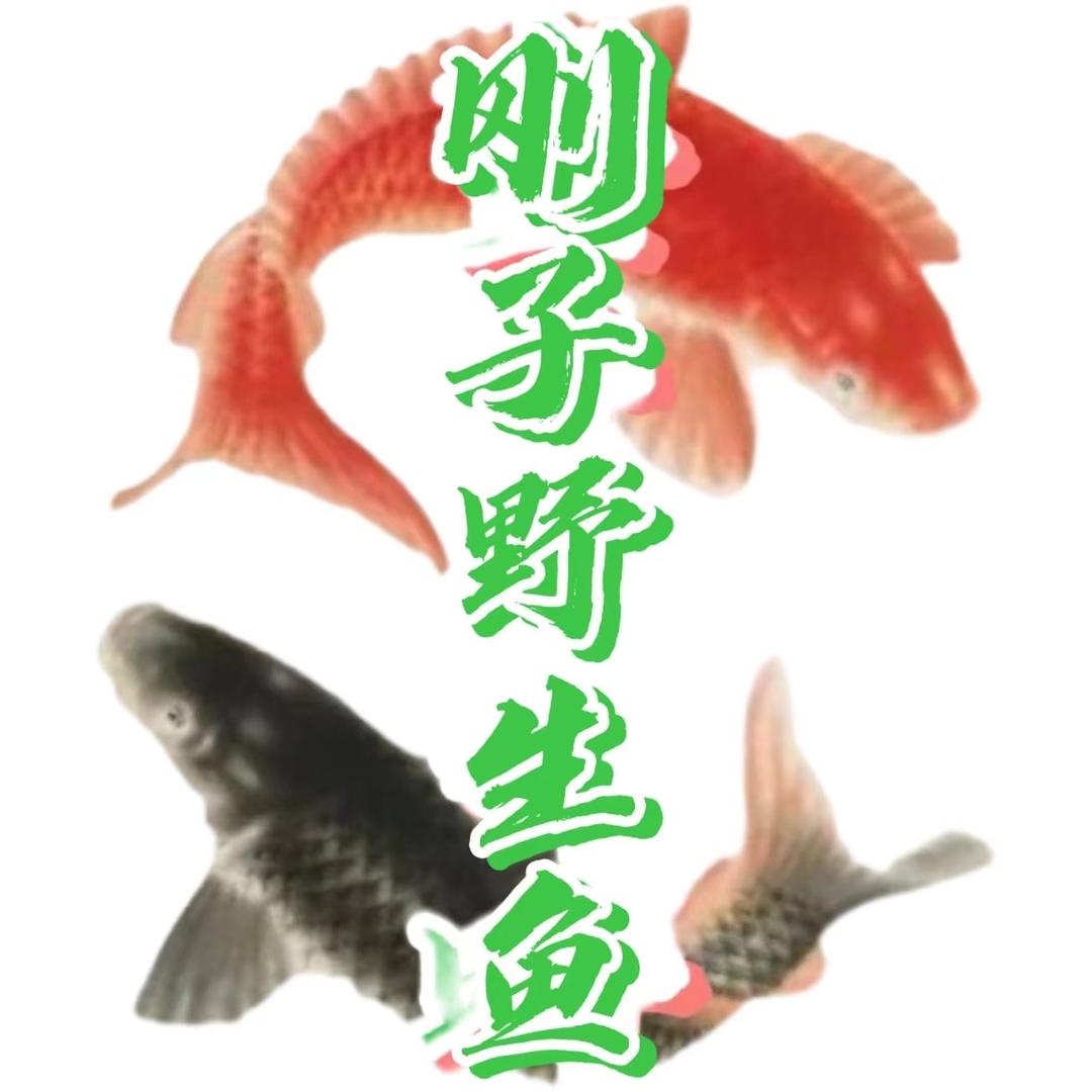 查干湖镇冬捕刚子野生鱼销售处