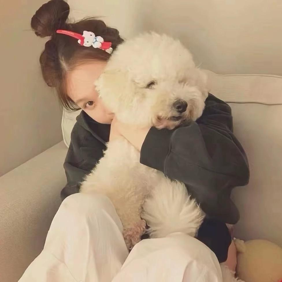 你怎么又噜噜脸了