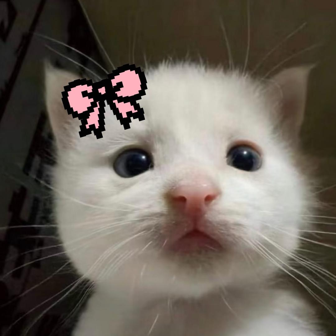 土豆小狗