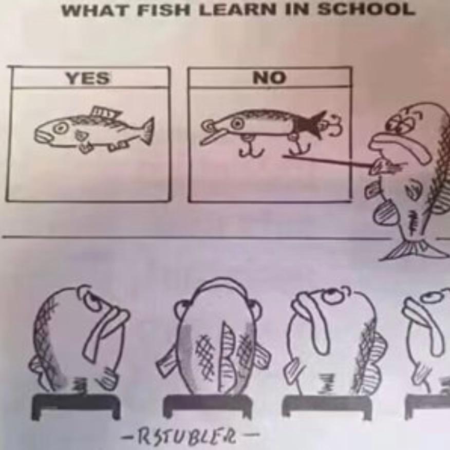 土豆炒马铃薯🌛