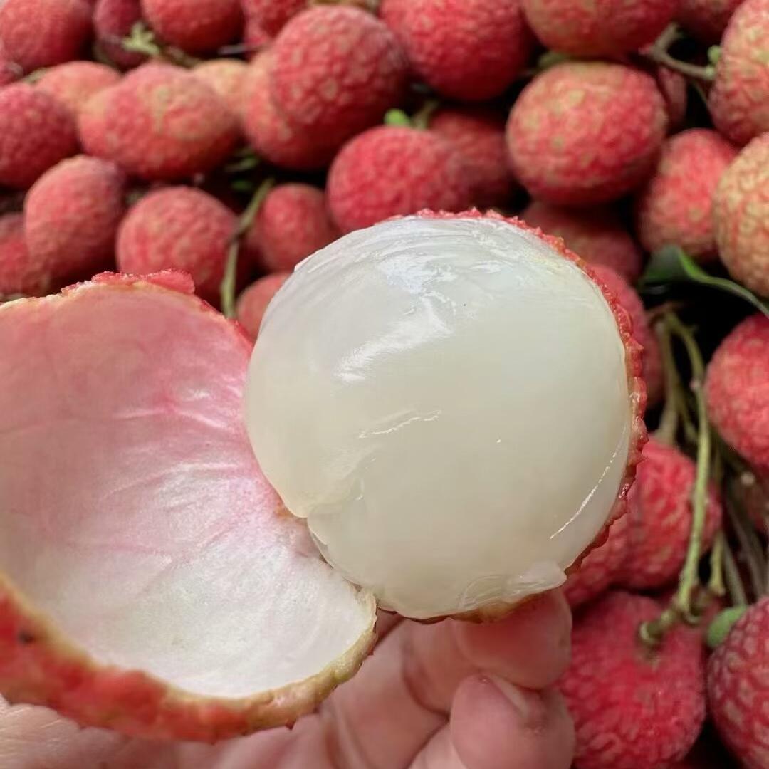高乡荔枝优选