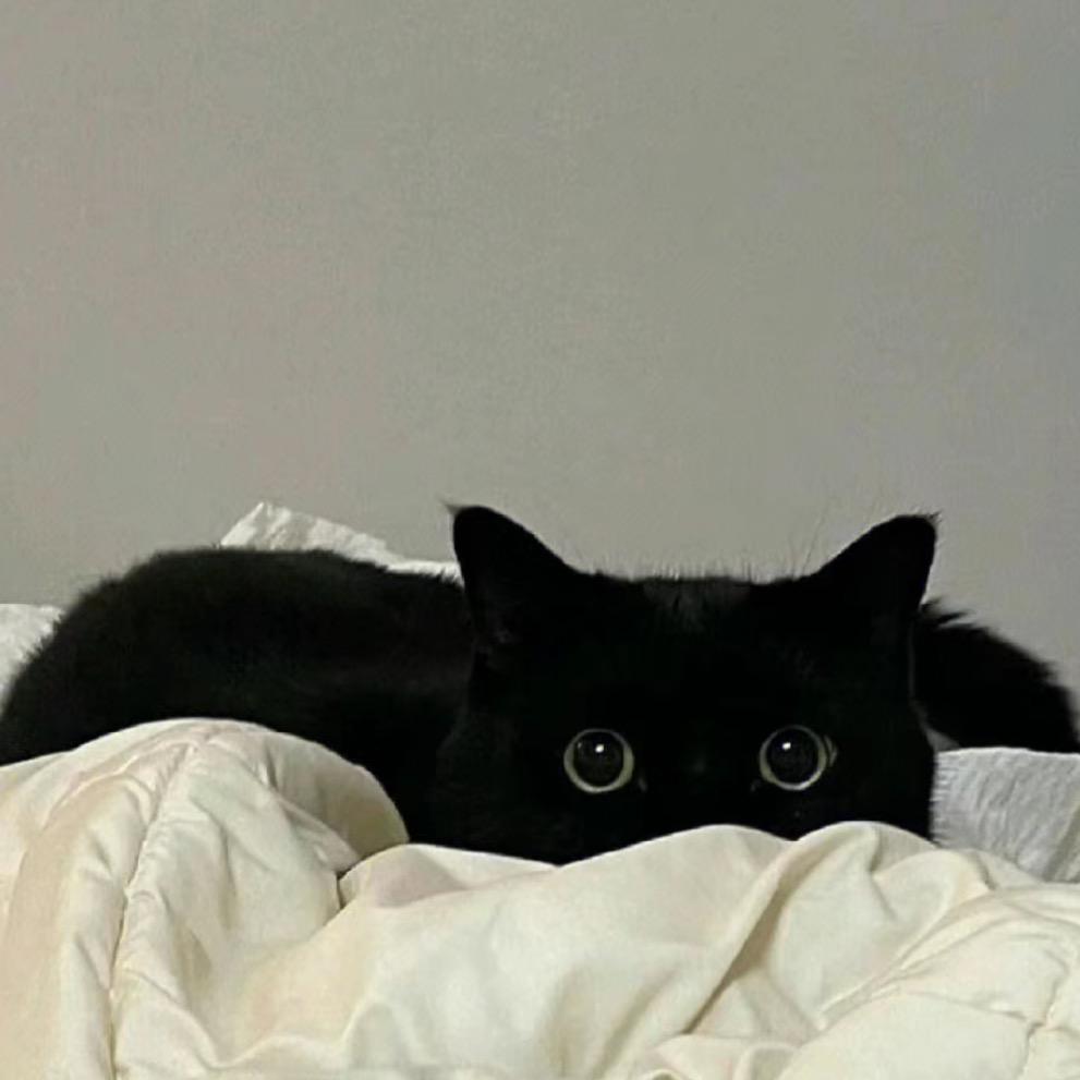 xxxaaa