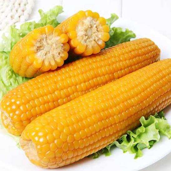 夏玉粮农产品