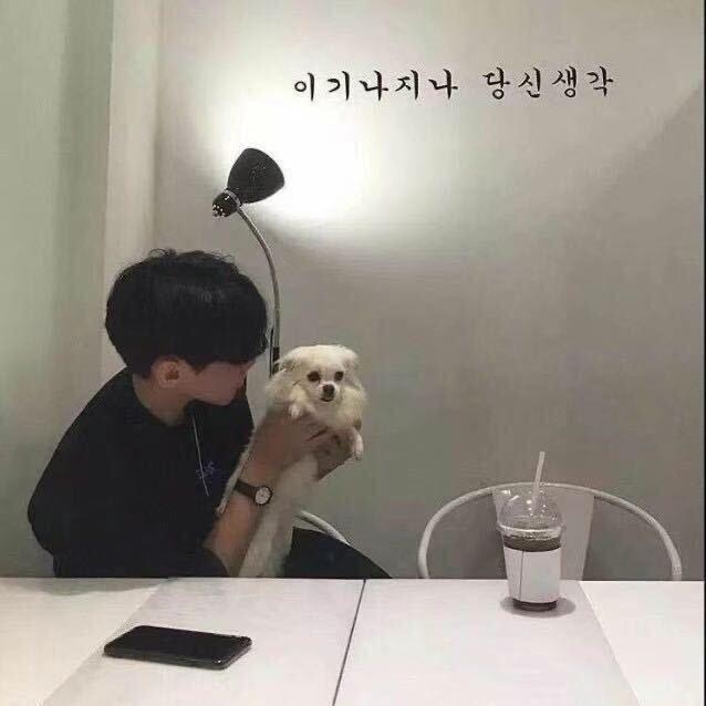 好困啊
