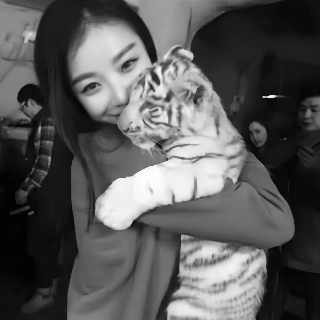 混过社会卖过萌/