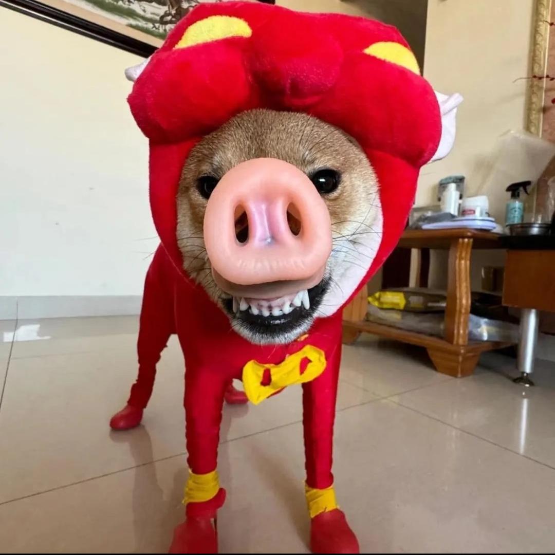 最歹毒了