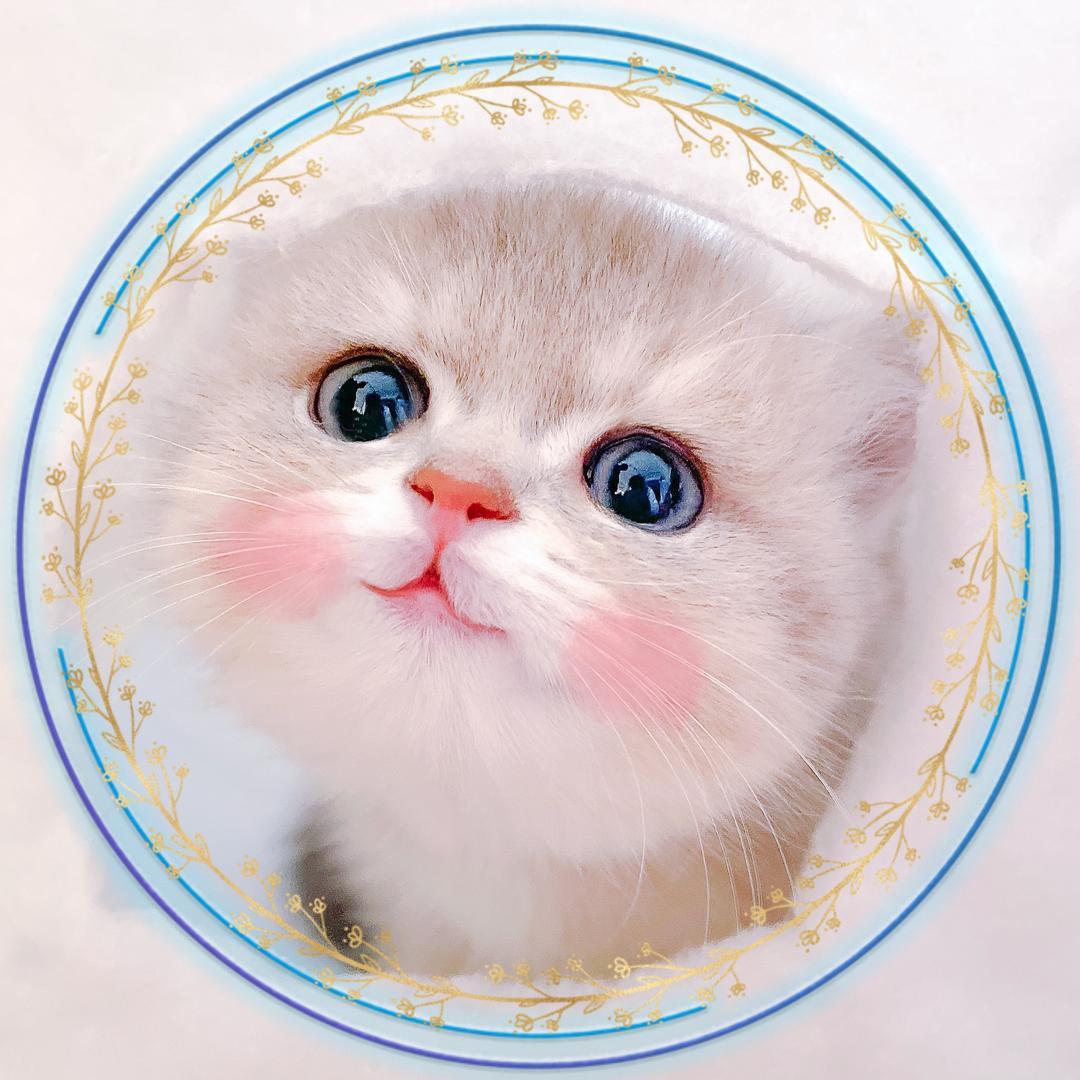 蓝妹儿