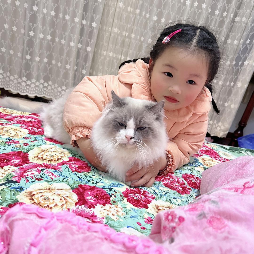 静