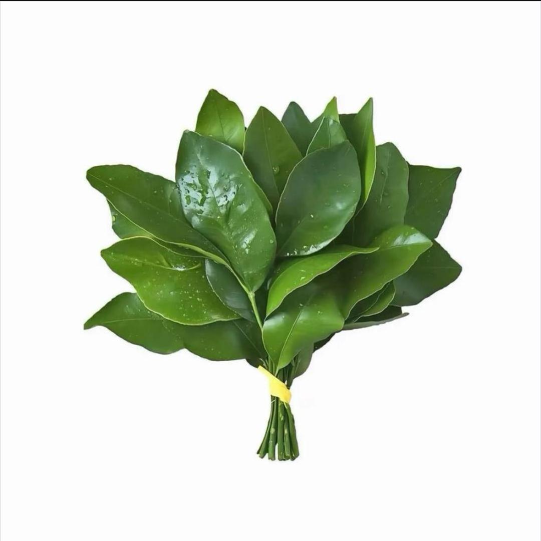 0403