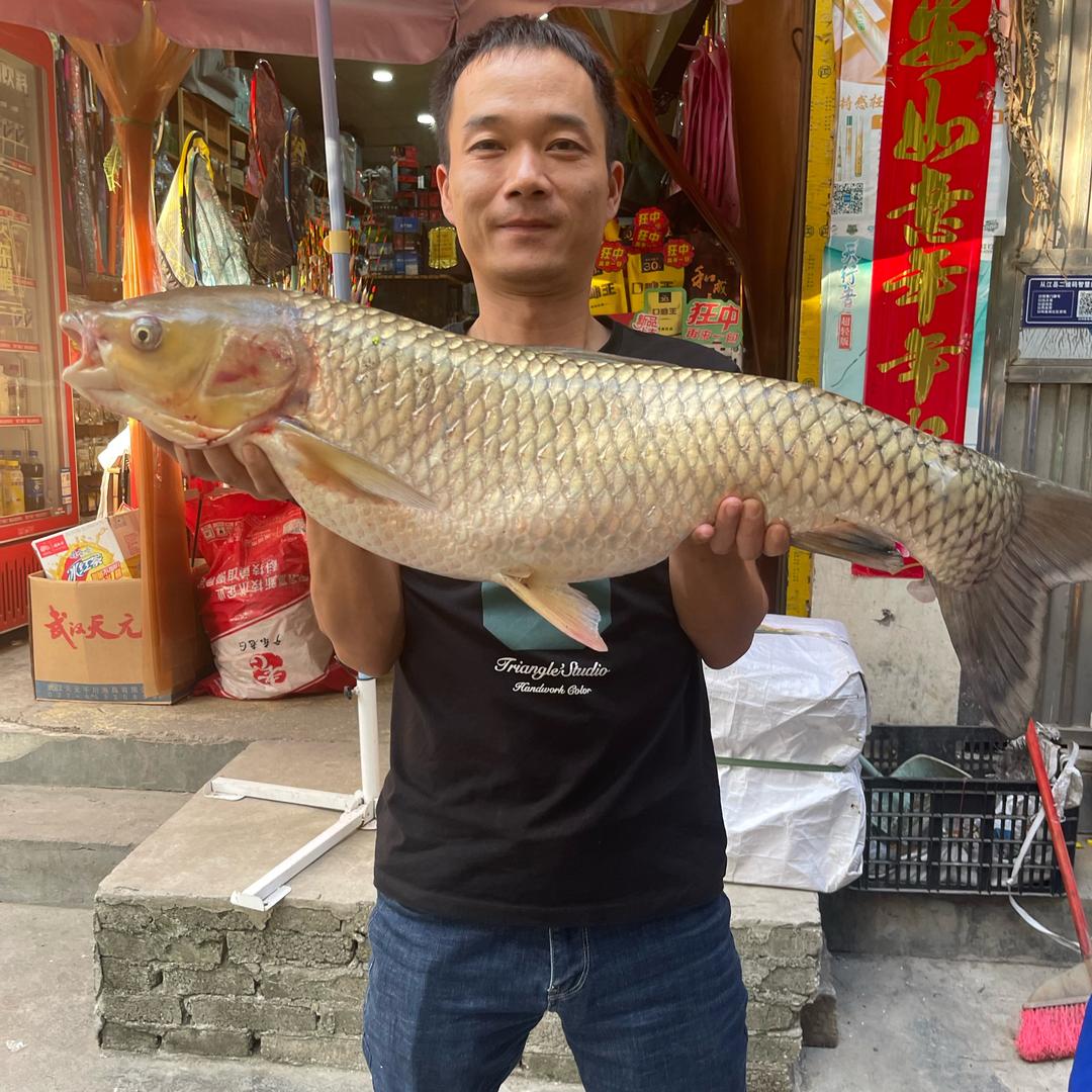 ꧁꫞鹏哥爱钓鱼꫞꧂（交天下钓友）