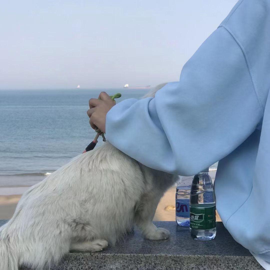 顾雨默
