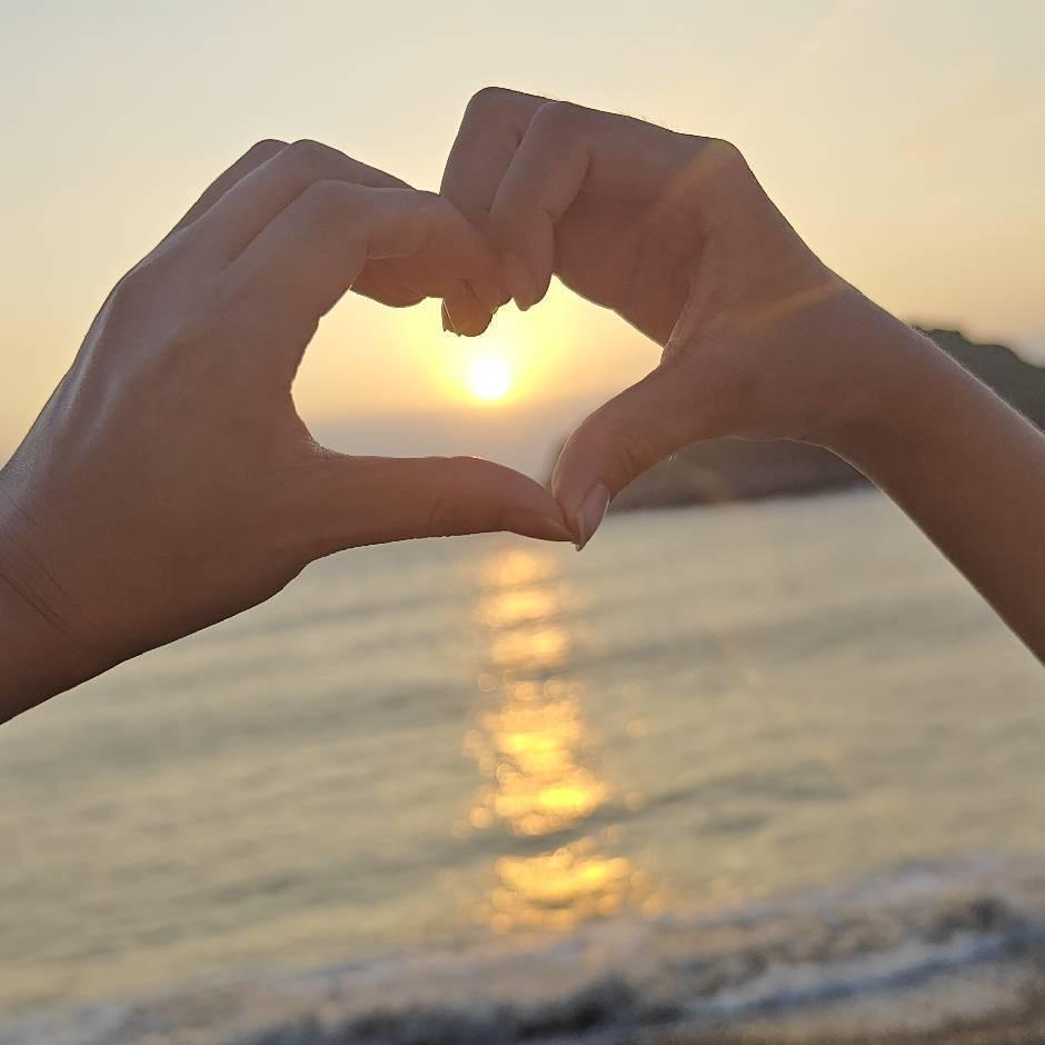 凤鸣大酒店官方号